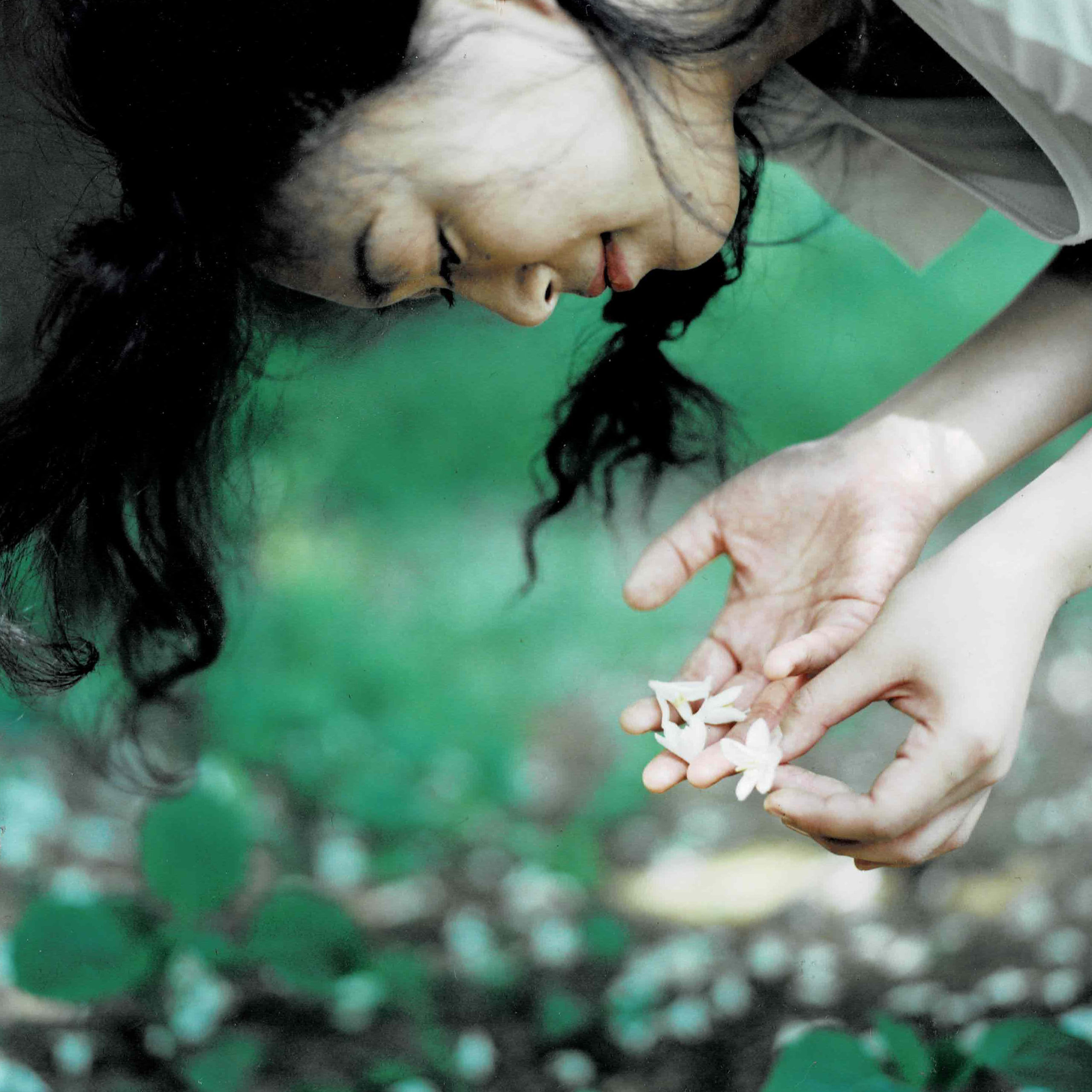 Live or Die Tomoe Sawa